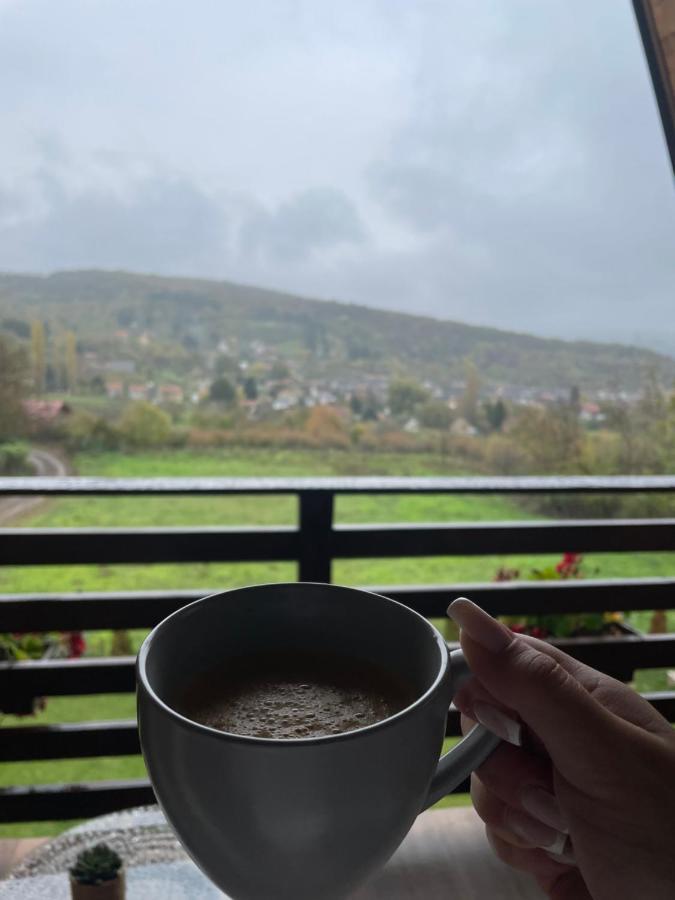 Vila Grujic Vrdnik Exteriör bild